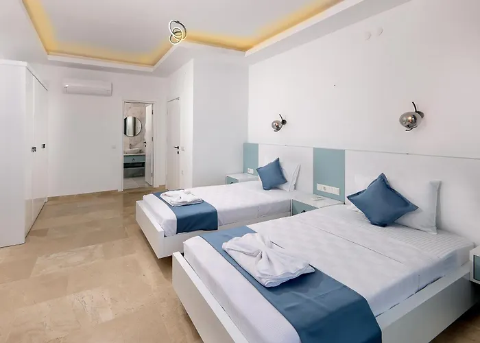 Albedo Blue 别墅 *