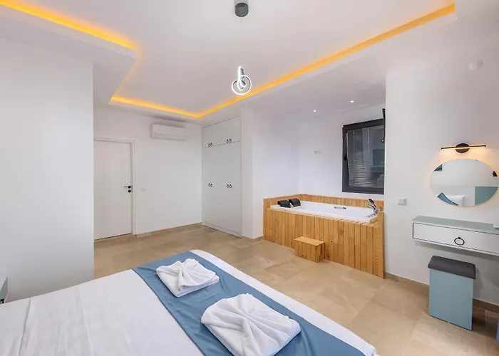 别墅 Albedo Blue *